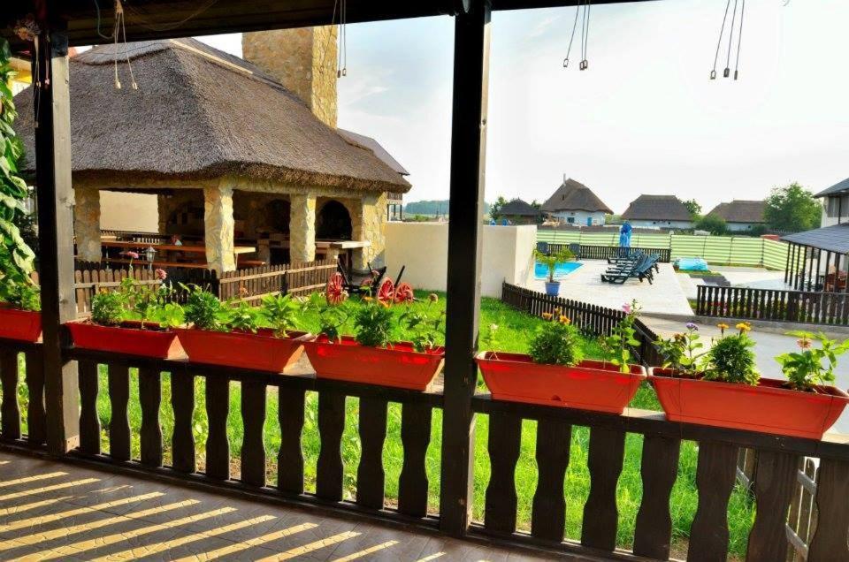 Hotel Pensiunea Miasor Murighiol Exterior foto