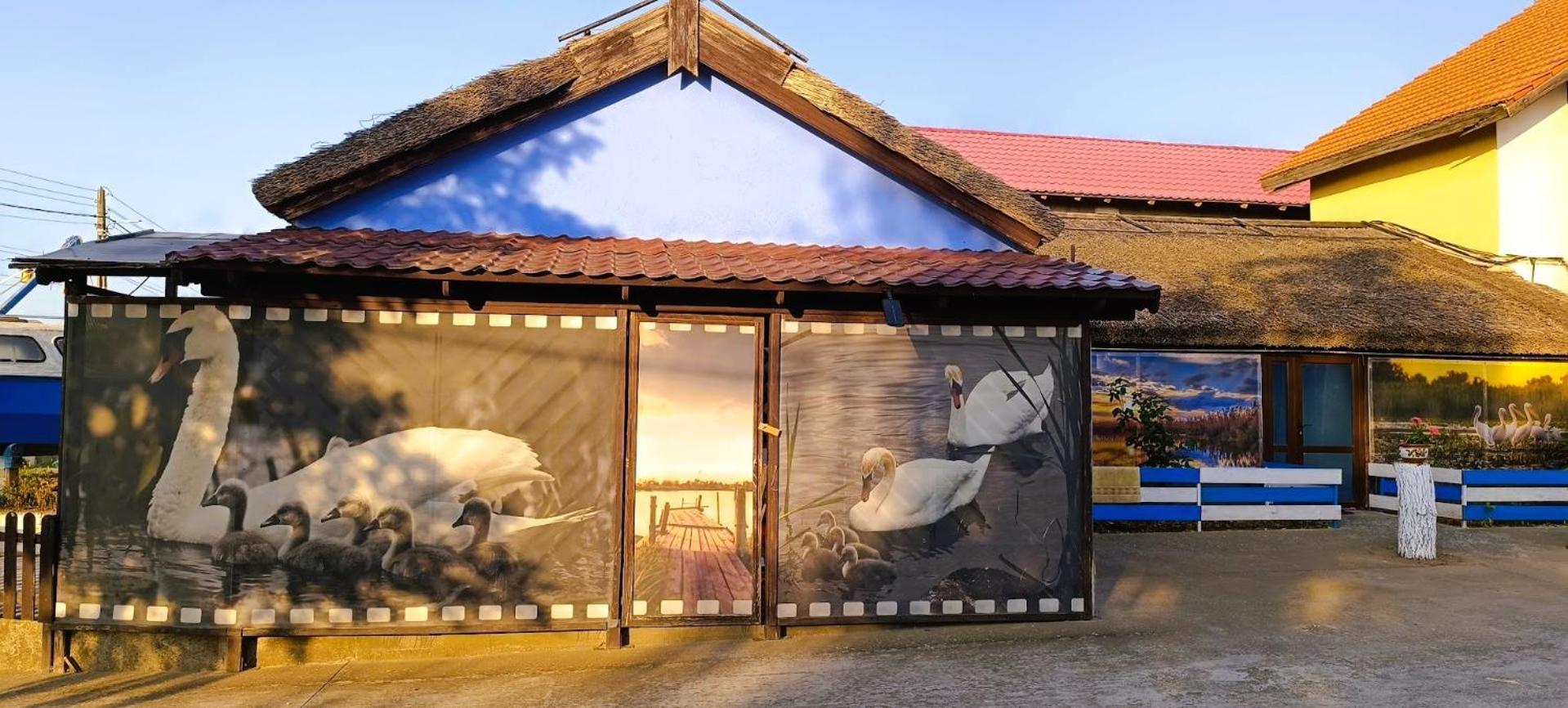 Hotel Pensiunea Miasor Murighiol Exterior foto